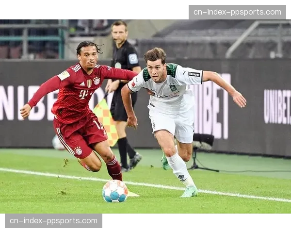 “足球无障碍”项目推进，德甲多家球场完成残疾人观赛设施升级