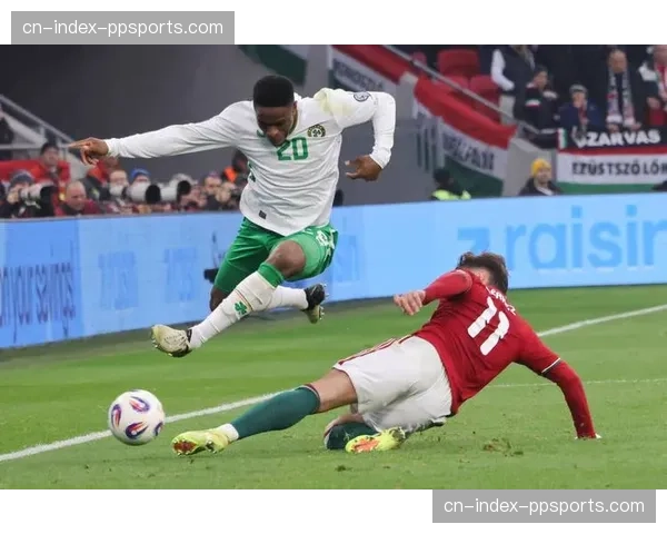 世界杯预选赛为举办城市带来数亿欧元经济效益