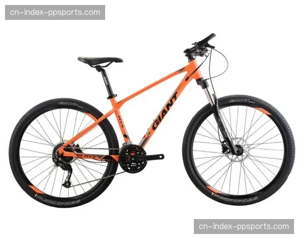 开普史诗赛第三赛段：32英寸轮径车型的滚速优势与长距离骑行革命